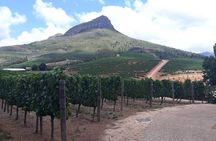 Full Day Wine Tasting in Stellenbosch, Franschoek & Paarl fees included