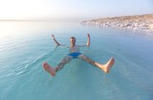 Private One Day Trip to Dead Sea with Lunch