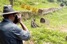 4 days Zongo falls, Bonobos and Kinshasa city experience