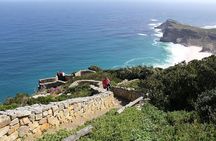 Private Cape Point and Penguins Day Tour with Entrance Fees