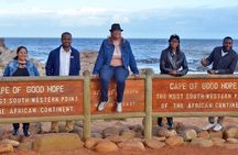 Private Cape Point and Penguins Day Tour with Entrance Fees