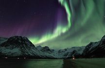 Northern Lights by Minibus. Photos Under the Lights included. Tromso