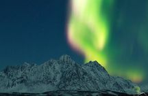 Northern Lights by Minibus. Photos Under the Lights included. Tromso