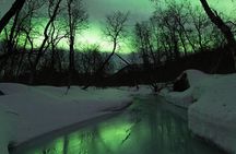 Small-Group Northern Lights Tour from Tromso with Photos