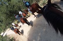 Horseback Ride for 2 or more