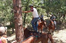 Horseback Ride for 2 or more