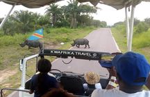 3 days Kinshasa Congo River and N’sele park experience