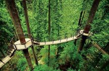 Small Group Tour: Vancouver Sightseeing and Capilano Suspension Bridge