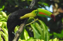Nature Hike in La Fortuna