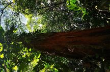 Nature Hike in La Fortuna