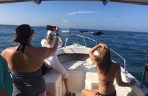Whale watching