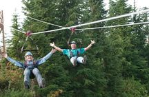 Vancouver: Capilano Suspension Bridge & Grouse Mountain Tour