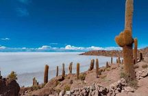 Uyuni Salt 1 day Tour with guide in English + Lunch and Sunset