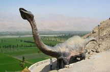 Private Full Day: Majes, Toro Muerto and Dinosaur Footprints. From Arequipa