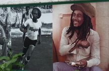 6. Bob Marley 9miles/Dunn's River Private Tour(420 Friendly)final resting place 
