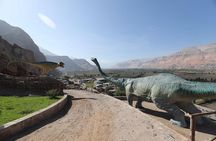Private Full Day: Majes, Toro Muerto and Dinosaur Footprints. From Arequipa