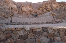 Private Full Day: Majes, Toro Muerto and Dinosaur Footprints. From Arequipa