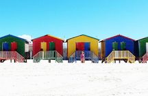 Cape Town: Cape Point, Table Mountain & Penguins Private Tour