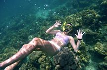 Small Groups of 20 people - Phi Phi & Bamboo Islands with Lunch