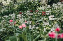 The Bloedel Reserve & Sightseeing