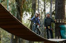 Forest Adventures