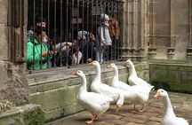 History of Barcelona Private Family Tour 