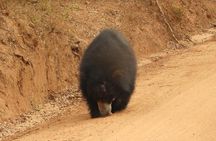 Wilpattu National Park 4-Hours Safari | with Naturalist