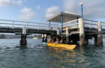 Batemans Bay Sunset Pizza Kayak Tour - Float and Feast