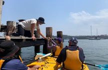 Batemans Bay Oyster Tasting Kayak Tour
