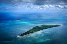Dolphin Encounters, Ile aux Benitier & Crystal rock: Full-Day (Lunch & Transfer)