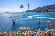 Busan: Fully Customizable Private Tour