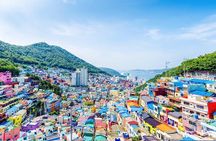 Busan: Fully Customizable Private Tour