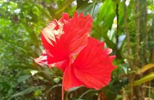 Goan Village Life Tour