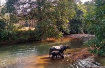 Goan Village Life Tour