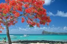 Discovering the North of Mauritius: Full-day incl Botanical garden & lunch 