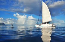 WEST : OCÉANE Private full day cruise to Ile aux Benitiers
