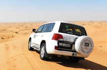 Dubai Desert BBQ Dinner, Camel Ride, Sandboarding and Live Shows