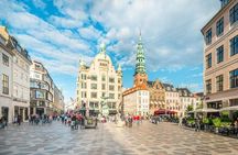 Private Shore Excursion: Copenhagen City Tour and visit Christiansborg Palace