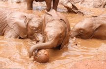 Nairobi Half Day Excursion