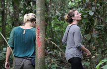 Deramakot Forest Safari Tour 3D2N