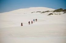 Beach Ride - Stanford