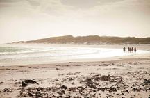 Beach Ride - Stanford