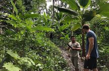 Healing, Treatment with Medicinal Plants 7 Days "Green Wild Amazon Expedition"