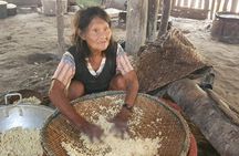 Arapaima Experience indigenous community and tree houses