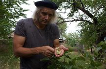Healing, Treatment with Medicinal Plants 7 Days "Green Wild Amazon Expedition"