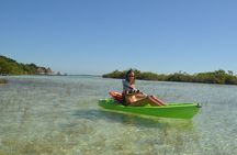 Bacalar Seven Color Lagoon and Kayak Adventure from Costa Maya