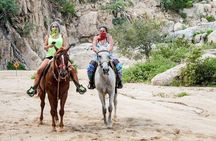 Horseback Riding on The Beach and Through The Desert! 