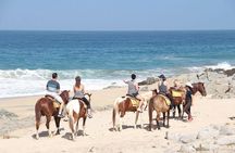 Beach & Desert Horseback Tour