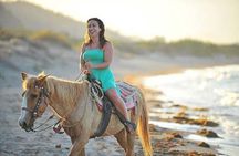 Beach & Desert Horseback Tour