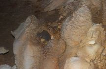 Crystal Cavetubing and Ziplines ,with Ambergris Caye pickup